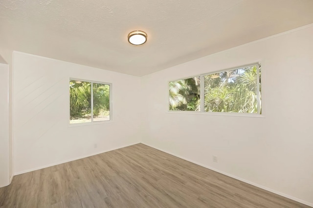 empty room featuring a textured ceiling and wood-type flooring