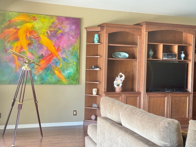 living room with hardwood / wood-style floors