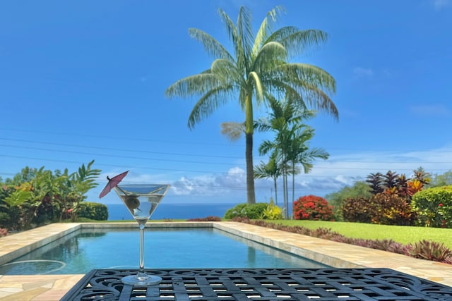 view of swimming pool