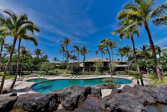 view of pool featuring a patio