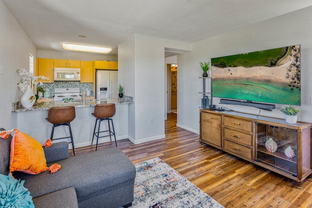 living room featuring hardwood / wood-style flooring