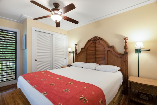 bedroom featuring multiple windows, ceiling fan, and hardwood / wood-style floors