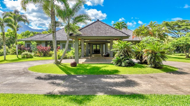 back of house featuring a yard