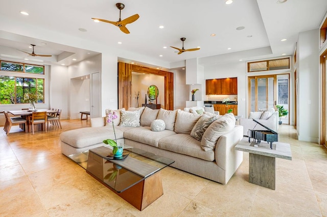 living room with a raised ceiling