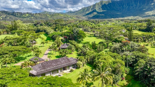 bird's eye view featuring a mountain view