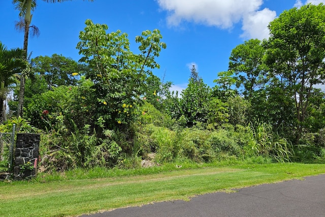 Listing photo 2 for Kala St, Pahoa HI 96778