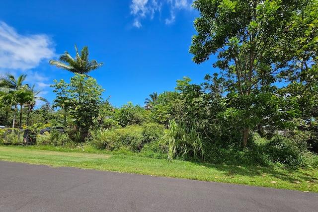 Listing photo 3 for Kala St, Pahoa HI 96778