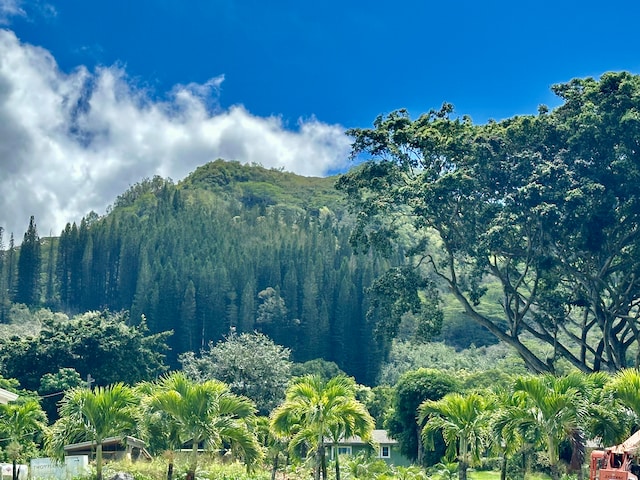 property view of mountains with a view of trees