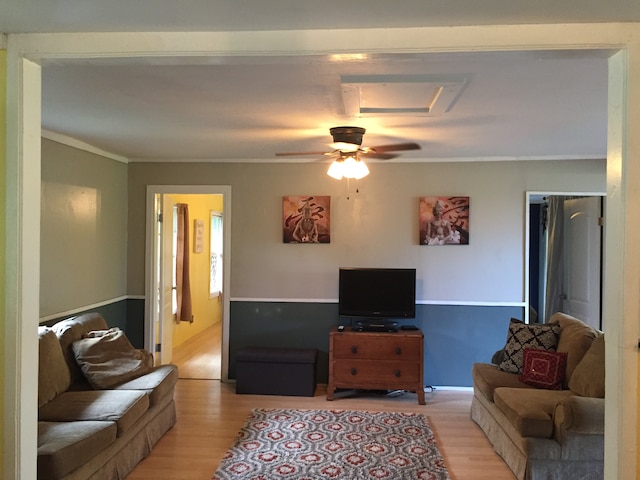 living room featuring light hardwood / wood-style floors, ceiling fan, and crown molding