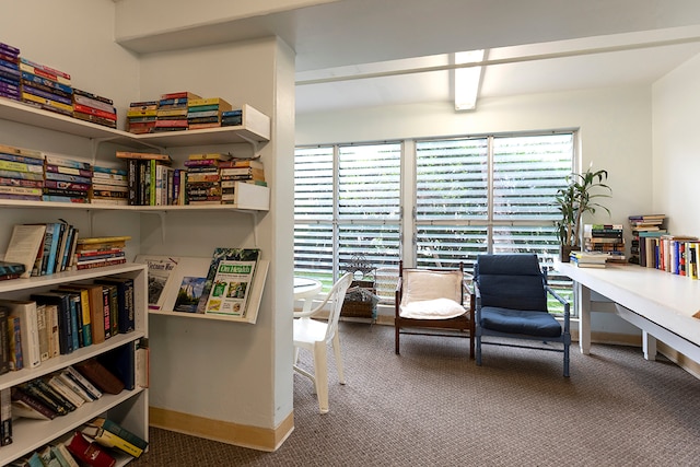 office area featuring carpet flooring