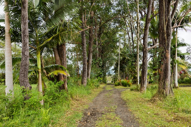 view of street