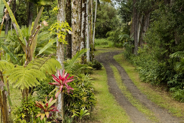 surrounding community with driveway