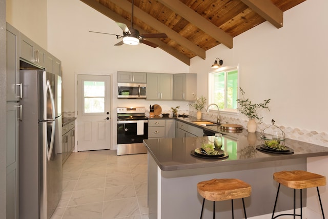 kitchen featuring appliances with stainless steel finishes, a wealth of natural light, and kitchen peninsula