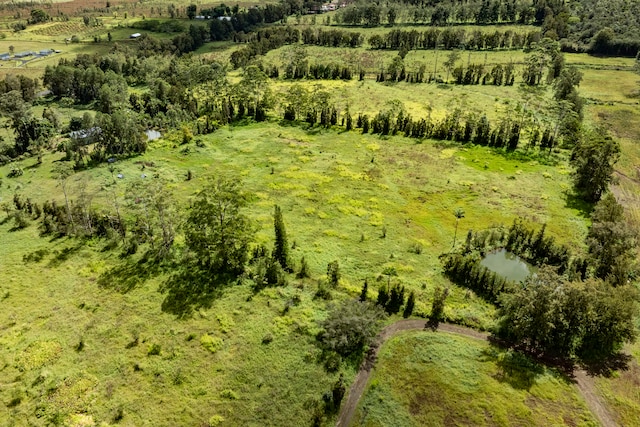 drone / aerial view with a water view and a rural view