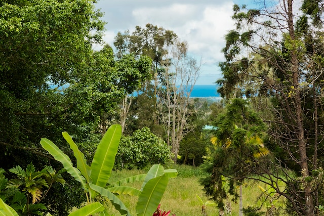 view of landscape