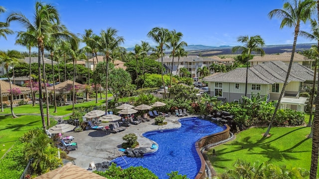 view of pool with a yard and a patio