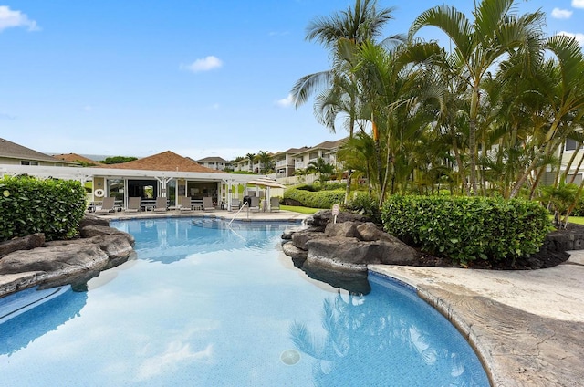 view of pool featuring a patio area