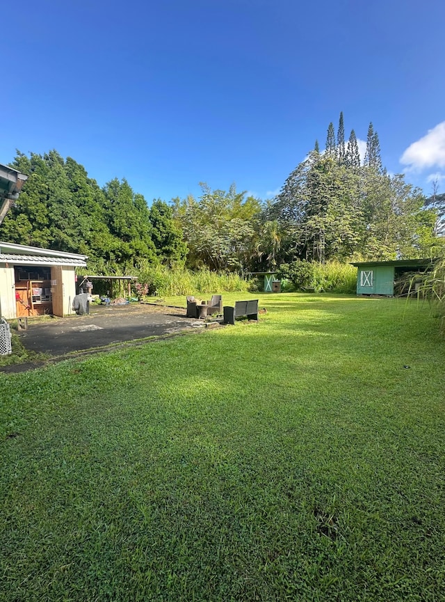 view of yard featuring a storage unit