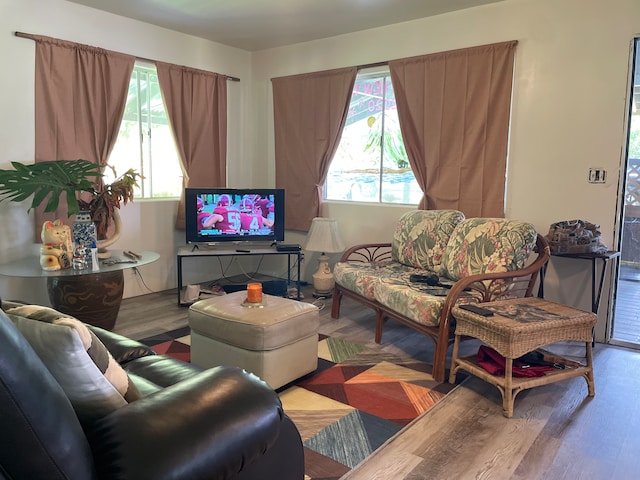 living room featuring hardwood / wood-style floors