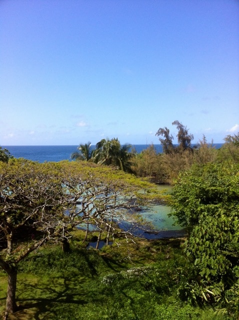 view of water feature