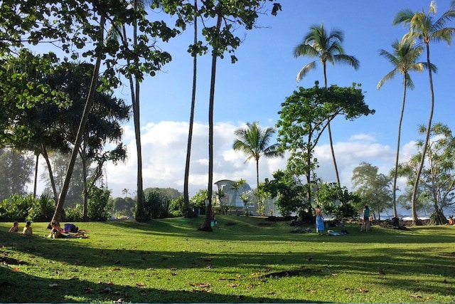 view of community featuring a yard