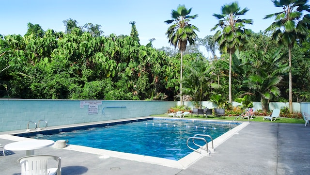 view of swimming pool featuring a patio area