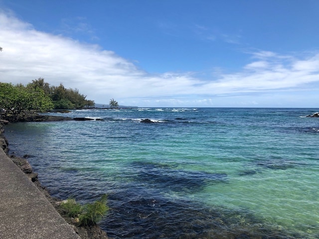 property view of water