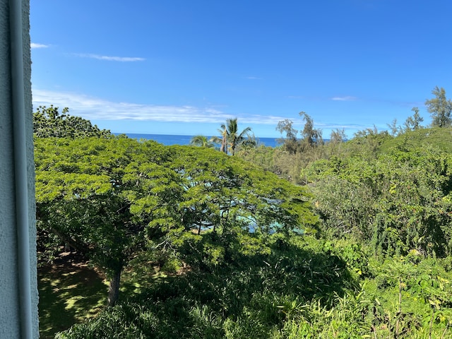 view of landscape featuring a water view