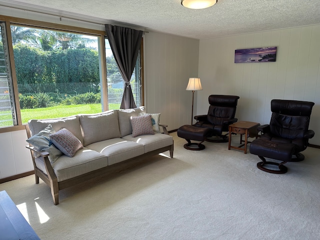 living room featuring a textured ceiling, carpet flooring, and wooden walls