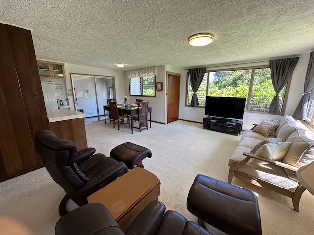 carpeted living room featuring a textured ceiling