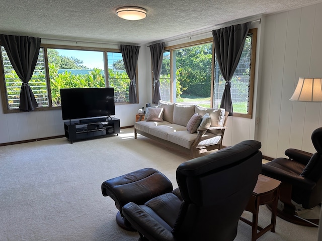 living room featuring a textured ceiling, light colored carpet, and a wealth of natural light