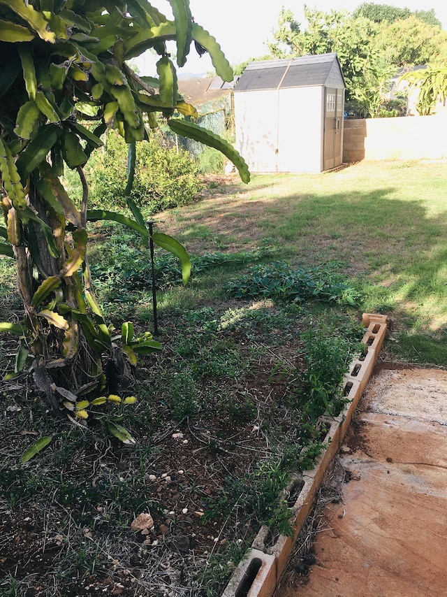 view of yard with a shed