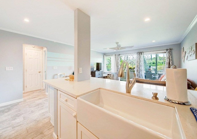 kitchen with a wealth of natural light, light hardwood / wood-style flooring, sink, and crown molding