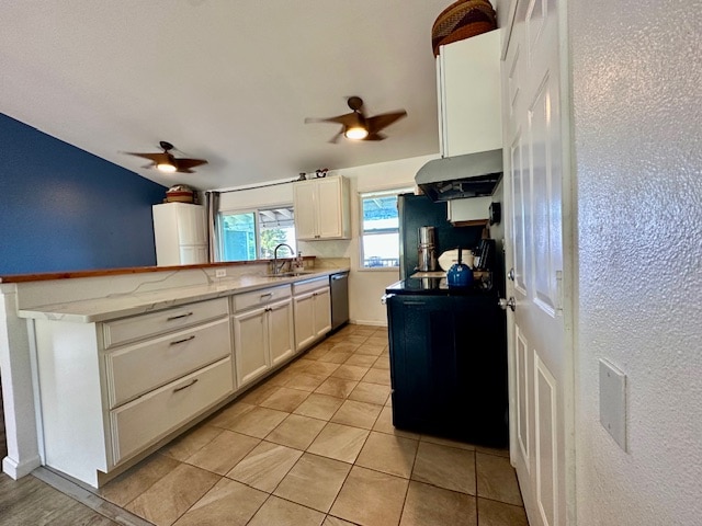 kitchen featuring white cabinetry, sink, stainless steel dishwasher, and ceiling fan