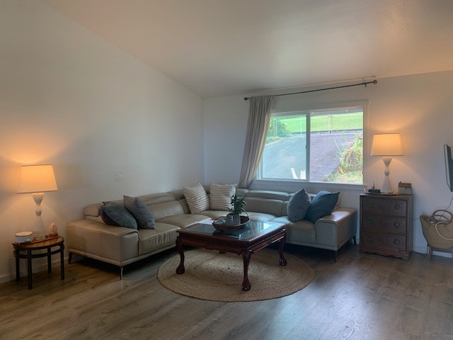 living room featuring vaulted ceiling and hardwood / wood-style flooring