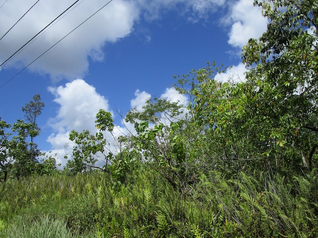 Listing photo 2 for Puulena St, Pahoa HI 96778