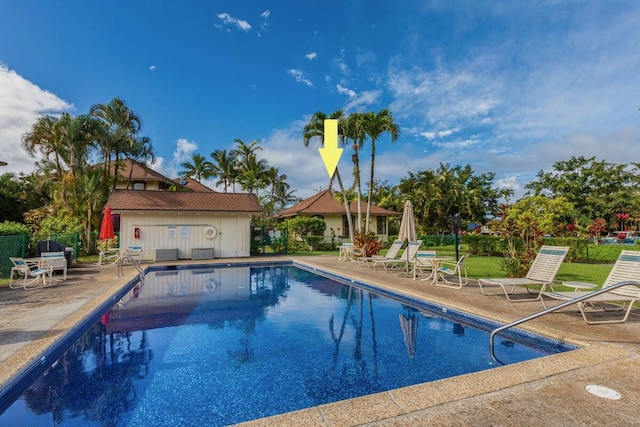 view of pool featuring a patio