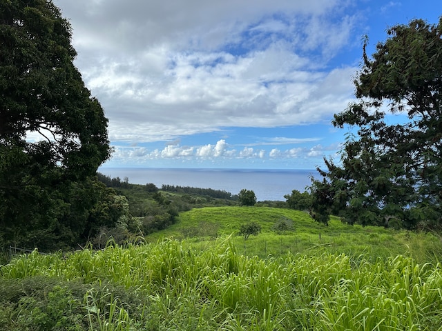 Listing photo 2 for 47-4536 Honokaa Waipio Rd, Honokaa HI 96727