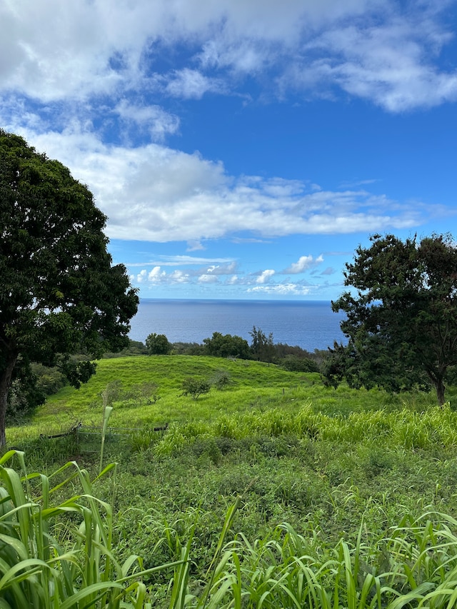 Listing photo 3 for 47-4536 Honokaa Waipio Rd, Honokaa HI 96727