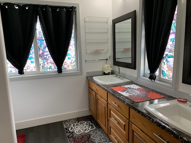 bathroom featuring vanity, wood-type flooring, and a wealth of natural light