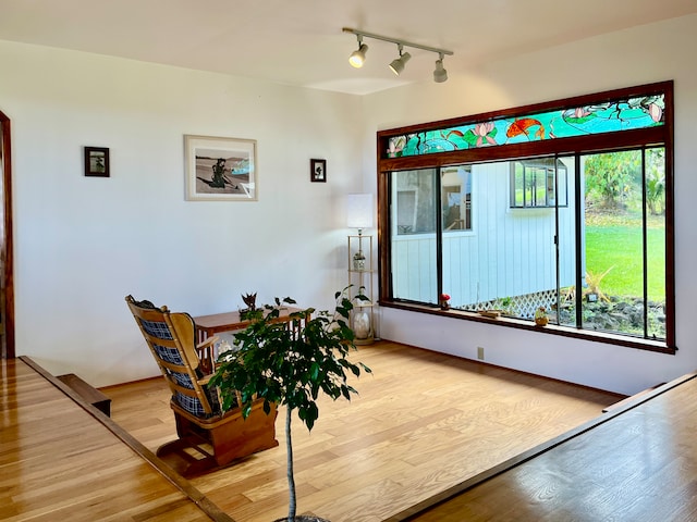 dining room with wood-type flooring and rail lighting