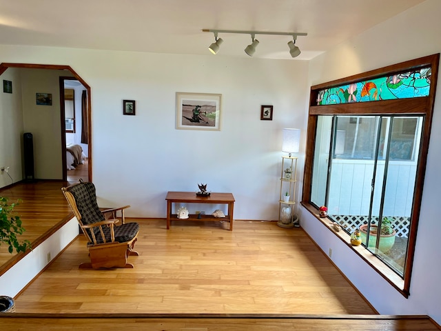 interior space featuring light wood-type flooring and rail lighting