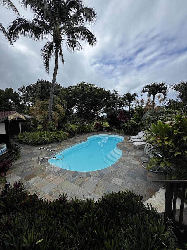 view of pool featuring a patio