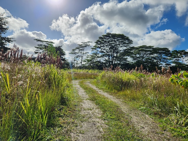 Listing photo 2 for Apaa Rd, Pahoa HI 96778