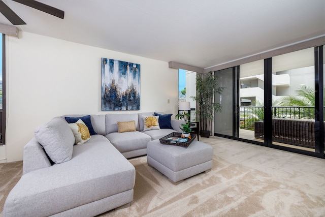 carpeted living room with floor to ceiling windows and ceiling fan