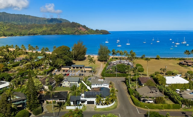 bird's eye view featuring a water and mountain view