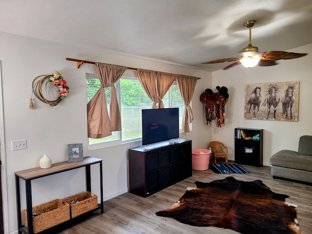 living room with ceiling fan and wood-type flooring