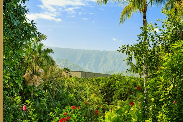 property view of mountains