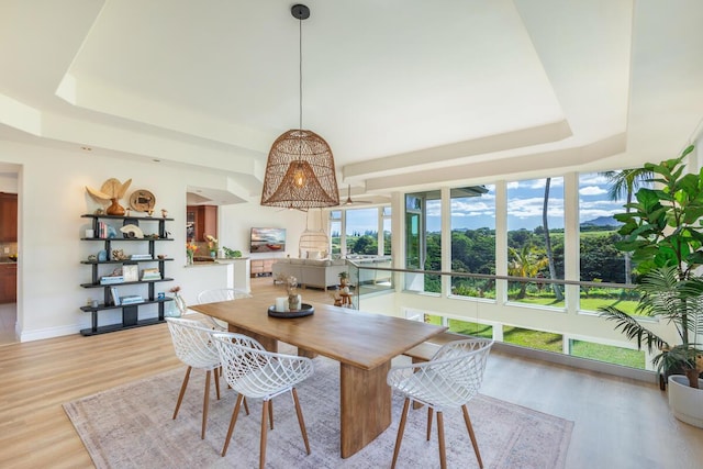 dining area featuring a tray ceiling and light hardwood / wood-style floors