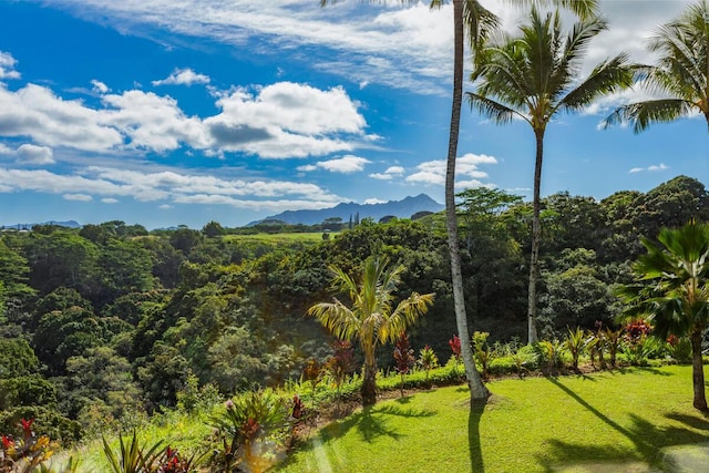 property view of mountains